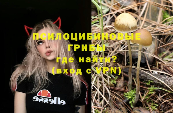 apvp Алексин