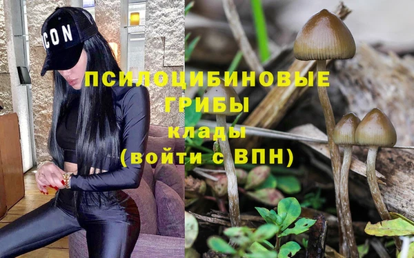 apvp Алексин