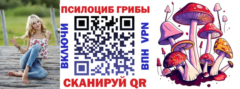 Галлюциногенные грибы Psilocybine cubensis  Сасово 