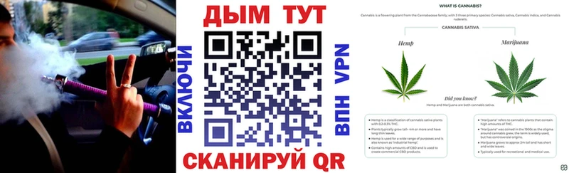 ОМГ ОМГ зеркало  Сасово  Конопля гибрид  где найти наркотики 